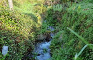 Canastro Nature Spot - Foto 53