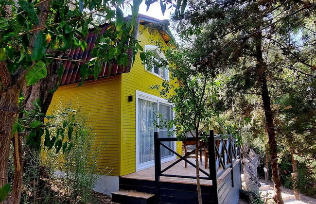 Sole Foca ( Ages 12+ ) - Foto 40