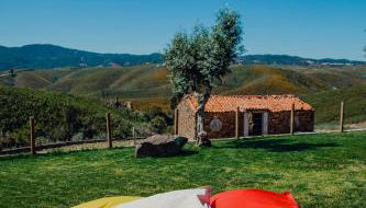 Quinta Dos Avós Lourenço - Foto 4, Garden view