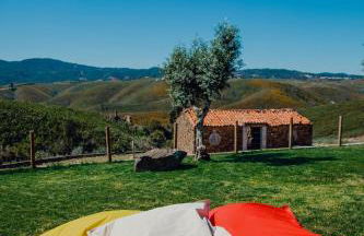 Quinta Dos Avós Lourenço - Foto 4