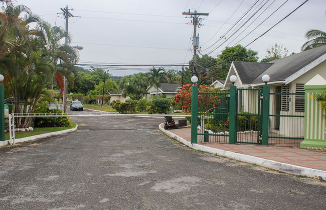 The Blue Mahoe Treehouse - Photo 31