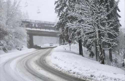 Fewo-Michi - Foto 15