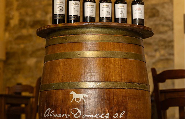 Visita a las Bodegas Álvaro Domecq - Foto 9