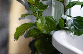 Luxe Victorian Retreat • Walk to Downtown - Foto 31