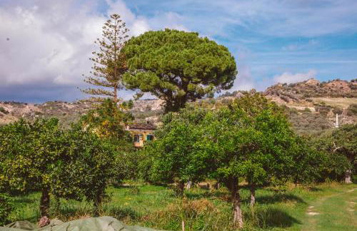 Agriturismo Villa Vittoria - Photo 104