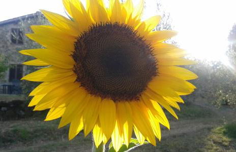 Casa Vacanze Porta Vecchia - Foto 23