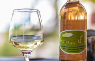 House Oliva with private pool and large garden - Photo 3