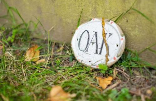 Holiday Home Oak Cottage by Interhome - Foto 16