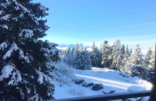 Charmant studio cabine COCOON à 100 m des pistes - Photo 14