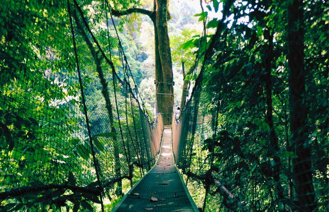 Rainmaker Park Hiking Tour - Foto 9