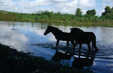 Pousada Marajoara- Hotel Fazenda-Turismo de Aventura - Photo 21