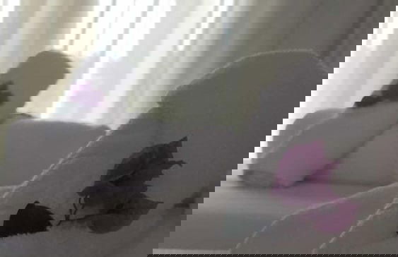 ILLA BLUE VILLAGE - Photo 49