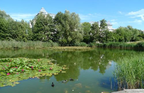 Aquamarin - charmantes Appartement mit Balkon - Photo 16