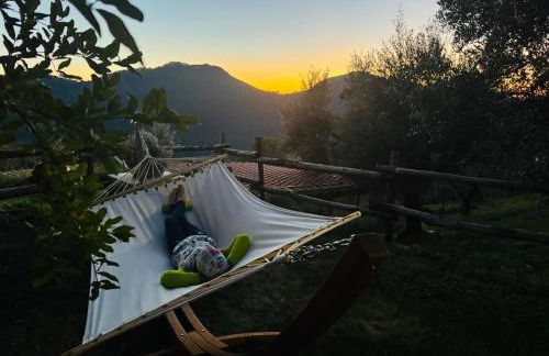 Agriturismo La Terrazza su Farfa - Foto 33