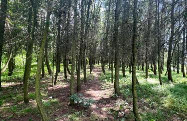 Apartament Podedworze - Foto 13