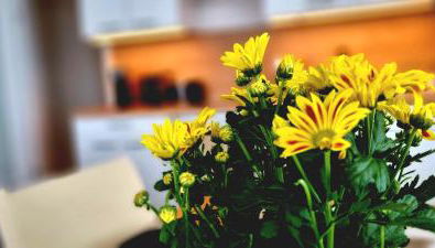 Apartment Hannover - Langenhagen center - Foto 2