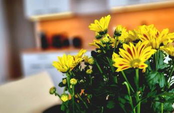 Apartment Hannover - Langenhagen center - Foto 2