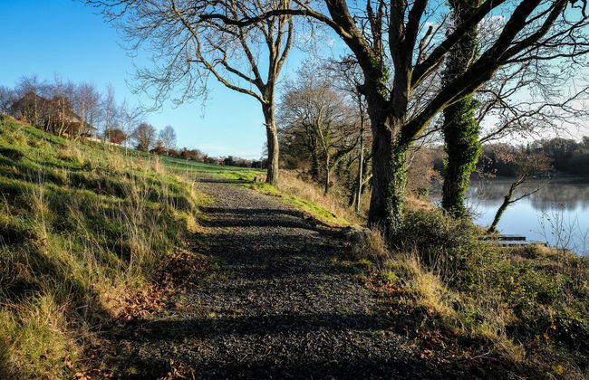 Shamrock Cottage - Photo 22