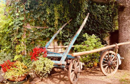 Cascina Canale - Foto 7