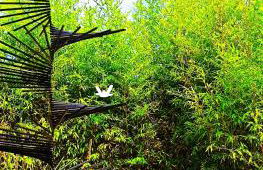 Accessible Luxury - Foto 42