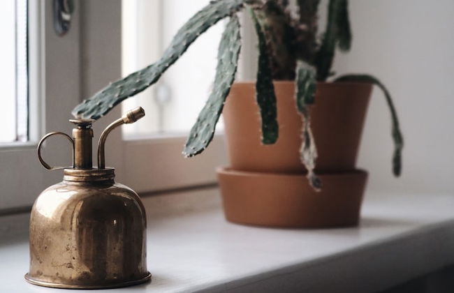 Homelike 1BR Apartment in Historical Building - Foto 10