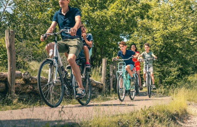 Wooden Chalet Near Brunssummerheide - Foto 11