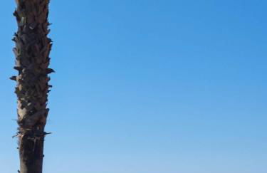 Malaga stylish beach apartments - Photo 10