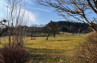 Kinderparadies Alt Lüxem - Foto 14