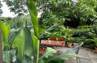 Wiehler- Ferienwohnung - Foto 29