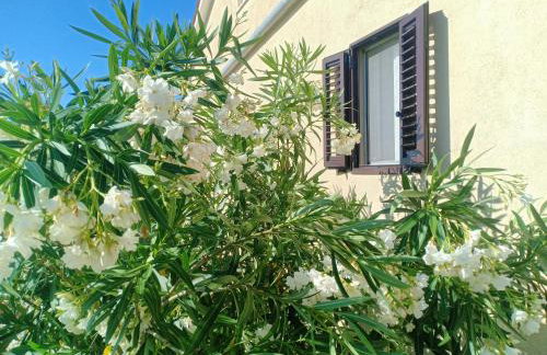 Stone House Sea View Vista Natura Private Garden Quiet Location - Photo 37