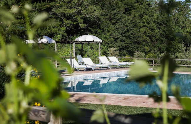 Verdidea - PODERE MONTI - Photo 48