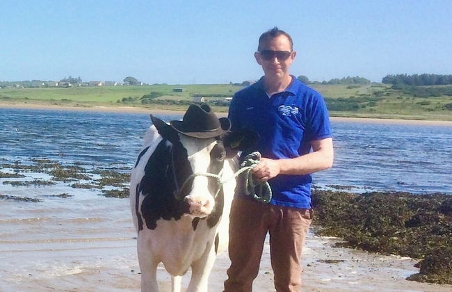 The Cuddly Cow Cosy Barn Studio Campview Farm Stay - Foto 29