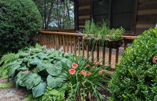 Rocky Knob Getaway - Foto 27