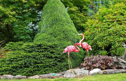 Tyn Y Fron 6 bedroom house in Betws-y-Coed Snowdonia - Foto 49