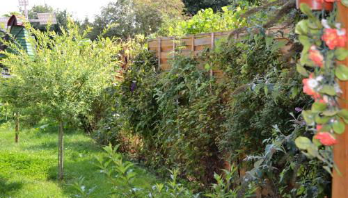 Ferienwohnung Gartenblick - Foto 2