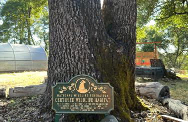 Blissful Acres hilltop cottage - Foto 13