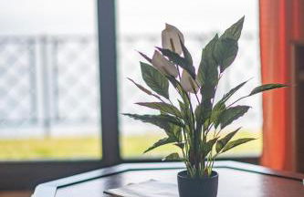 Casa Massino - Foto 36