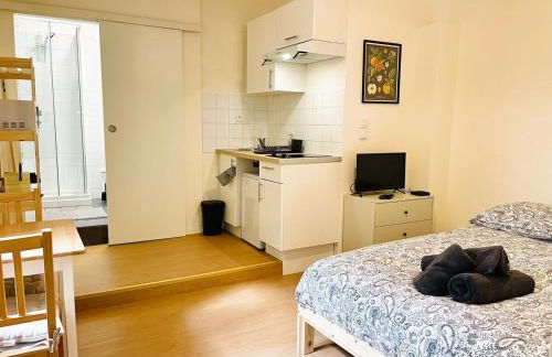 Le petit meublé hyper Centre - Foto 14