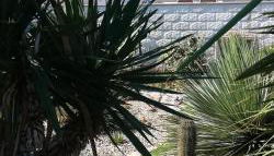 Dimora Zara - Foto 1