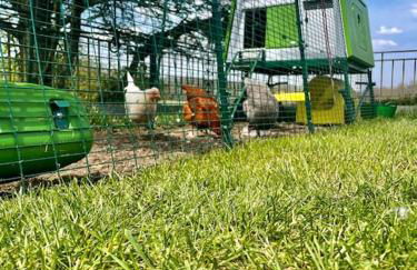 The Coach House at Wenvoe Manor, Cardiff - Photo 73