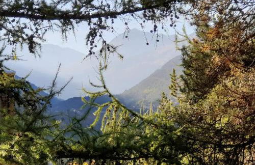 Nido Alpino Terme e Sport - Bormio - Foto 20