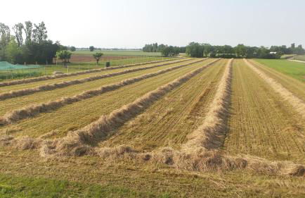 Agriturismo Domus Magna - Foto 27