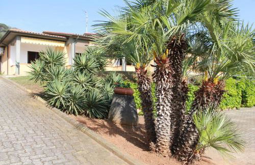 Residence Alithai - Foto 44