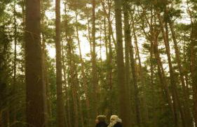 Remise Brasch - Zwischen Bahnhof und Elbe - Foto 10