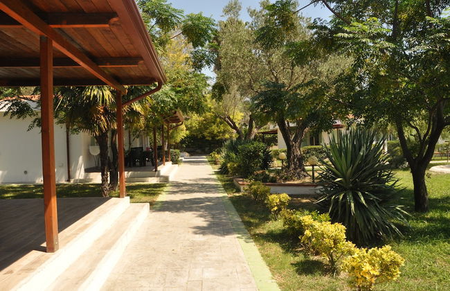 Villaggio Borgo degli Ulivi - Photo 63