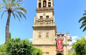 Rosmarinus Centro - Foto 21