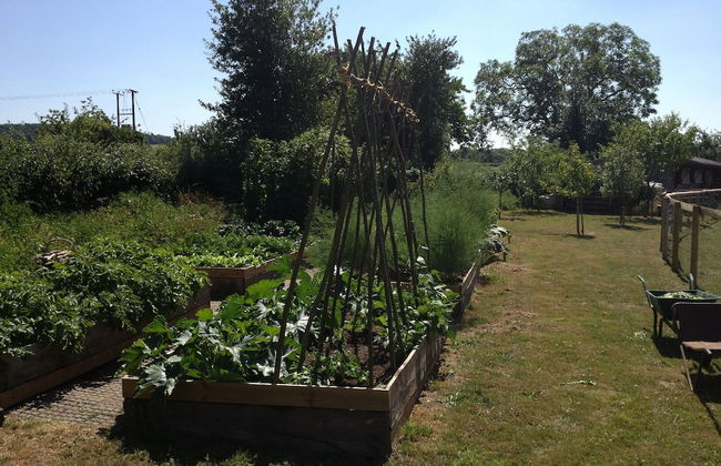 Duken Courtyard Cottage Self Catering Holiday Cottage in Glorious Countryside - Foto 15