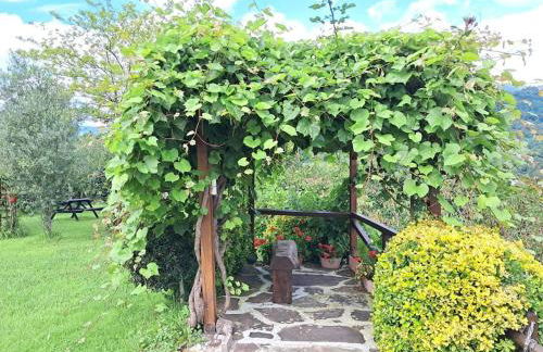 Goizeder etxea - Foto 6