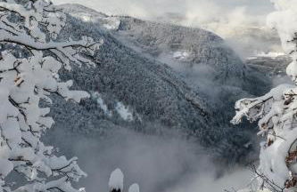 Au Coeur de Prémanon - Foto 33