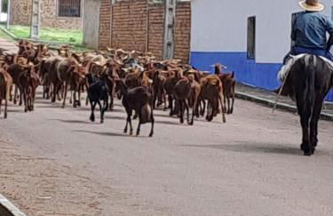 Casa Rural Valle de los Molinos - Foto 63